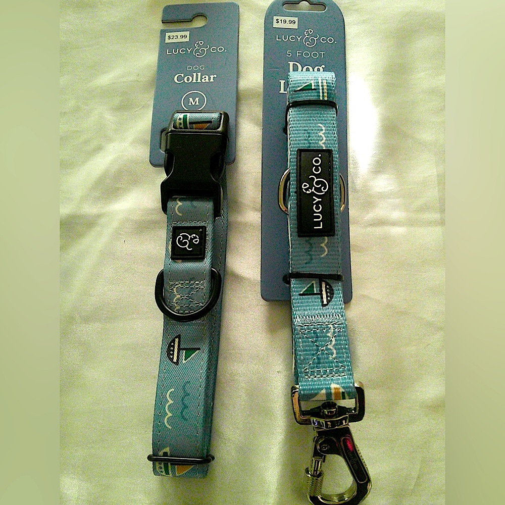 Lucy & Co. Sail Collar and Leash Set (M)